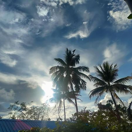 Hilton Garden Homestay ميناء بلير المظهر الخارجي الصورة