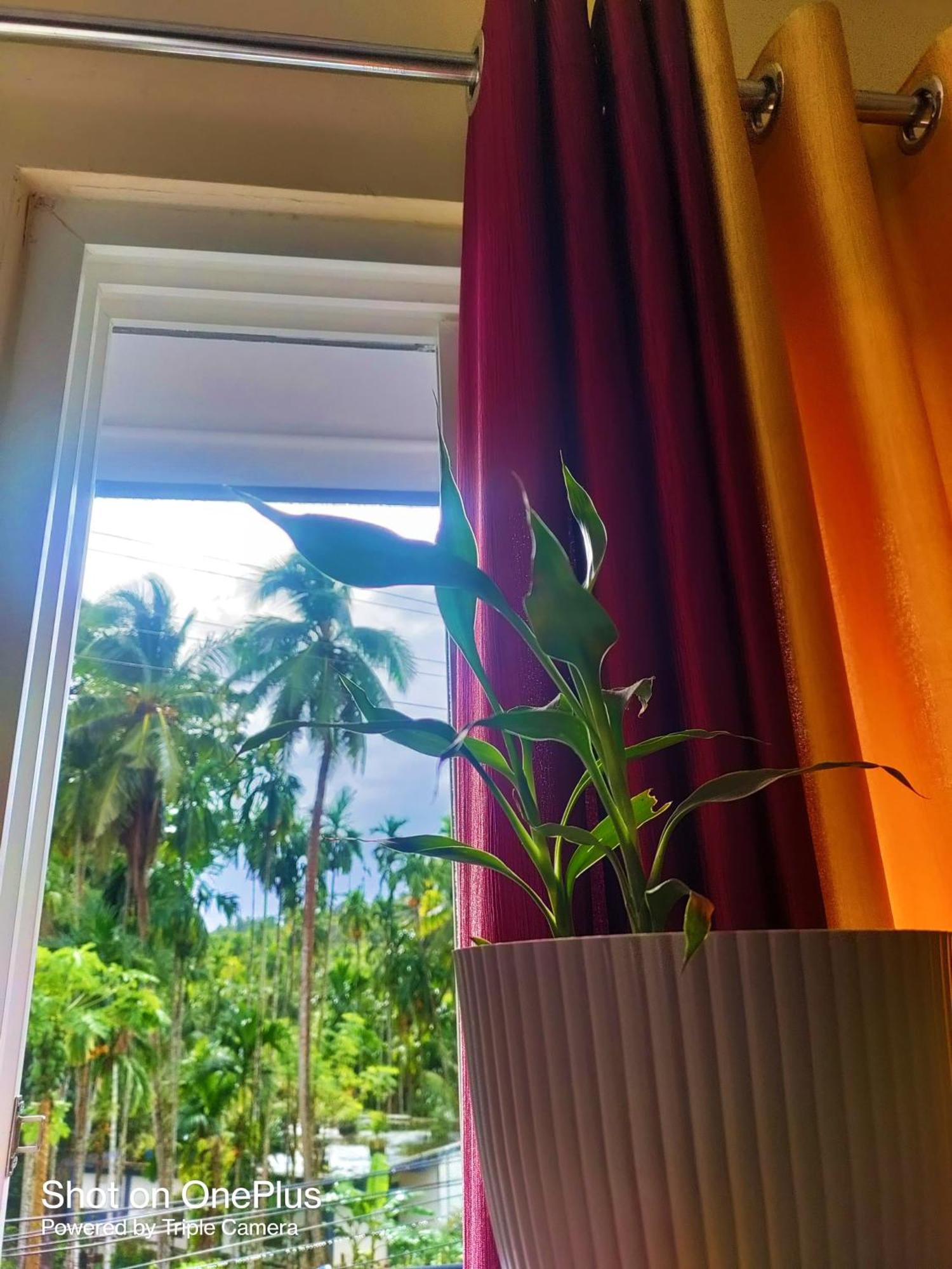 Hilton Garden Homestay ميناء بلير المظهر الخارجي الصورة